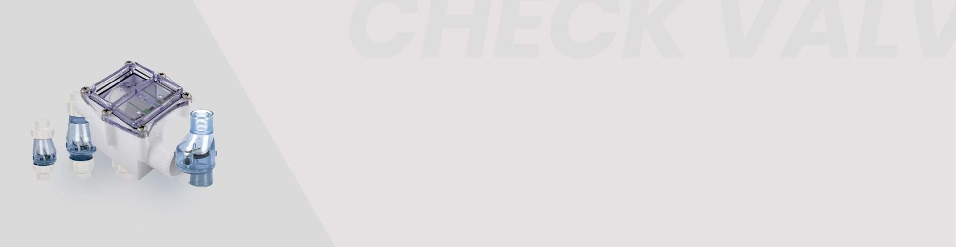 Check Valves