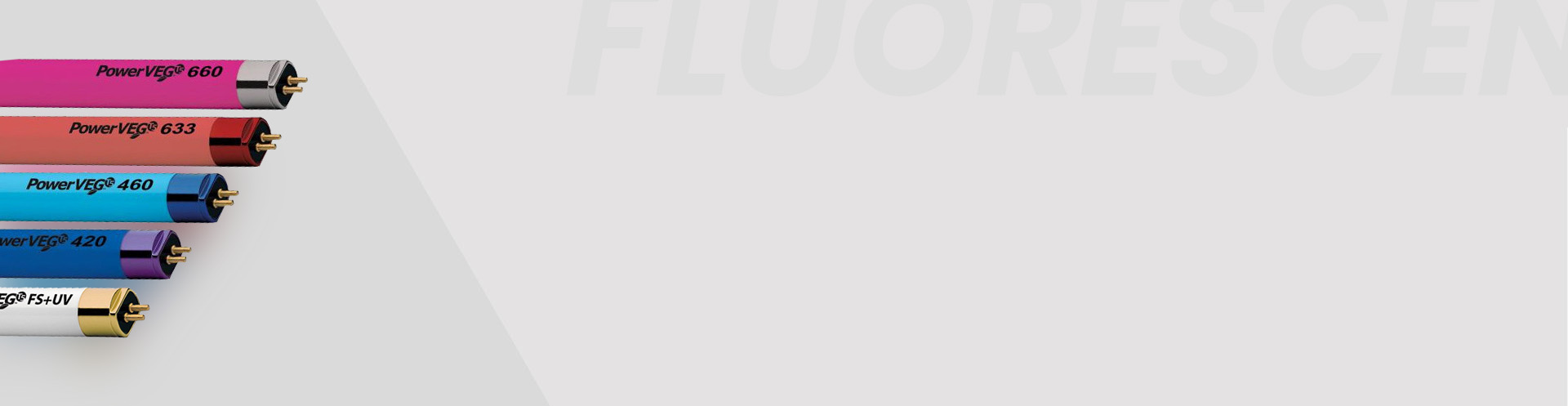 Fluorescent