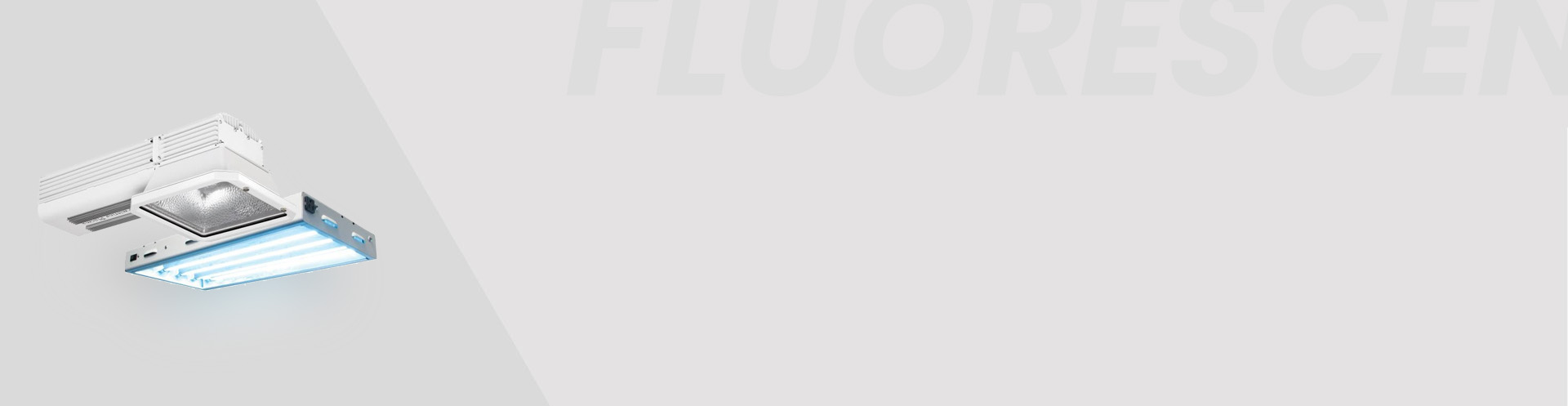 Fluorescent