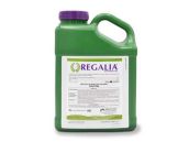 Marrone Bio Innovations Regalia CG - Fungicide - 2.5 Gallon (2/Cs) (36 Cs/Pallet)