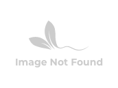 Arable Acres Disposable Shoe Cover - Polypropylene Anti-Skid w/ Elastic Band - Blue(100/Bag) (Case of 2000)