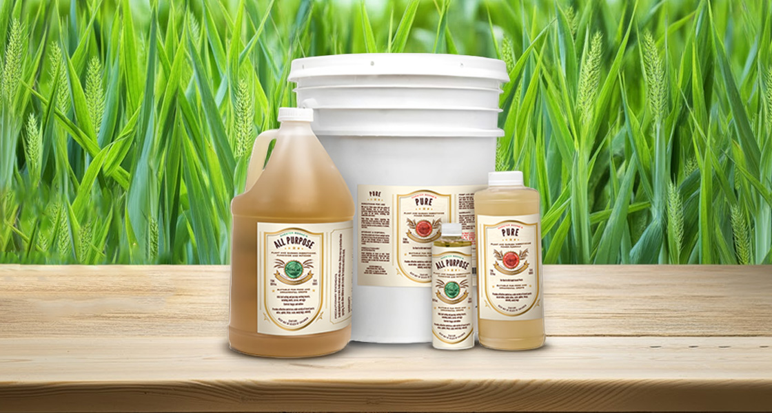 Pest & Disease Control