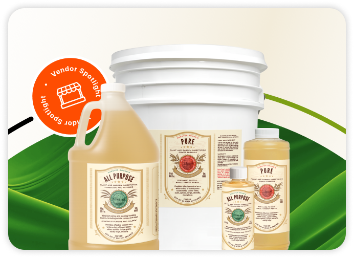 Vendor Spotlight - Chester Boones Decoration